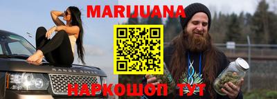 прущие грибы Апшеронск
