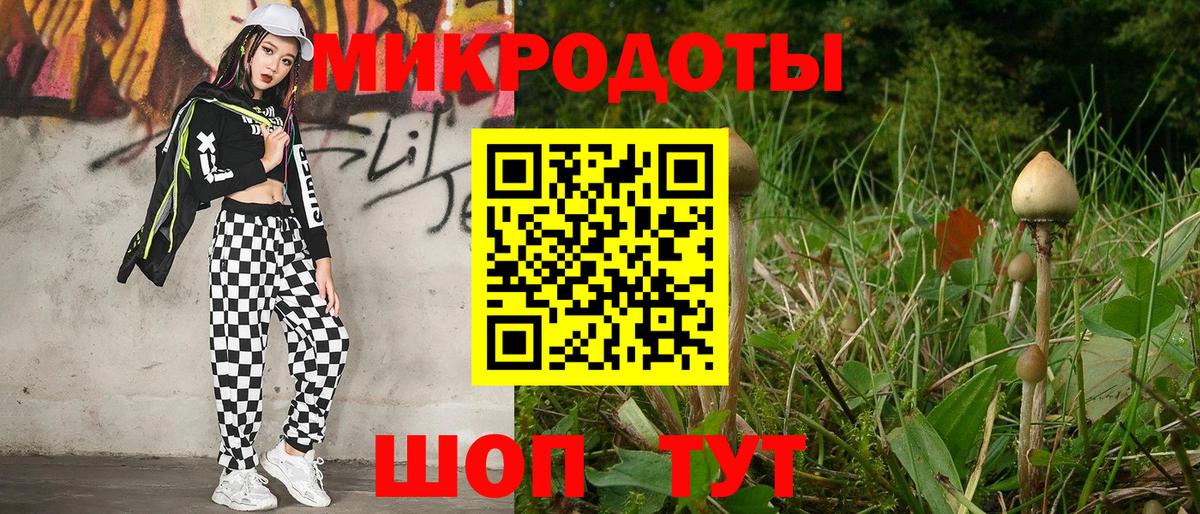 Галлюциногенные грибы мицелий  Вход с VPN  Выборг 